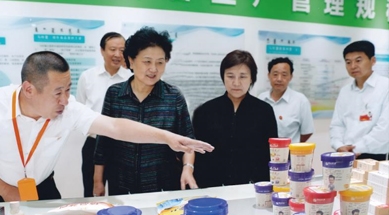 原中共中央政治局委員、國(guó)務(wù)院副總理劉延?xùn)|視察我公司